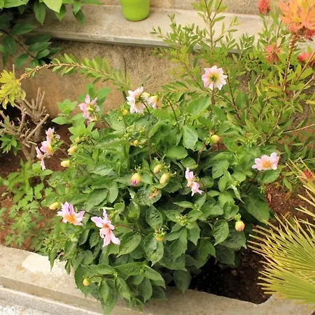 With A Parking Space Mali Lošinj