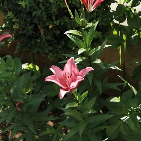 With A Parking Space Apartament Mali Lošinj