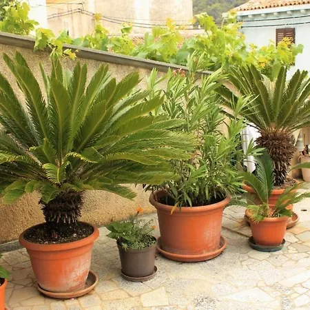 With A Parking Space *