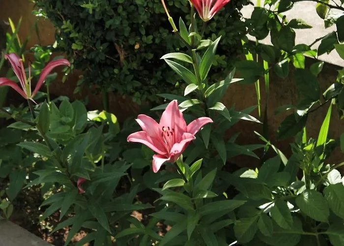 With A Parking Space Apartmán Mali Lošinj